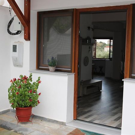 Villa Sofia Marathos  Exterior photo