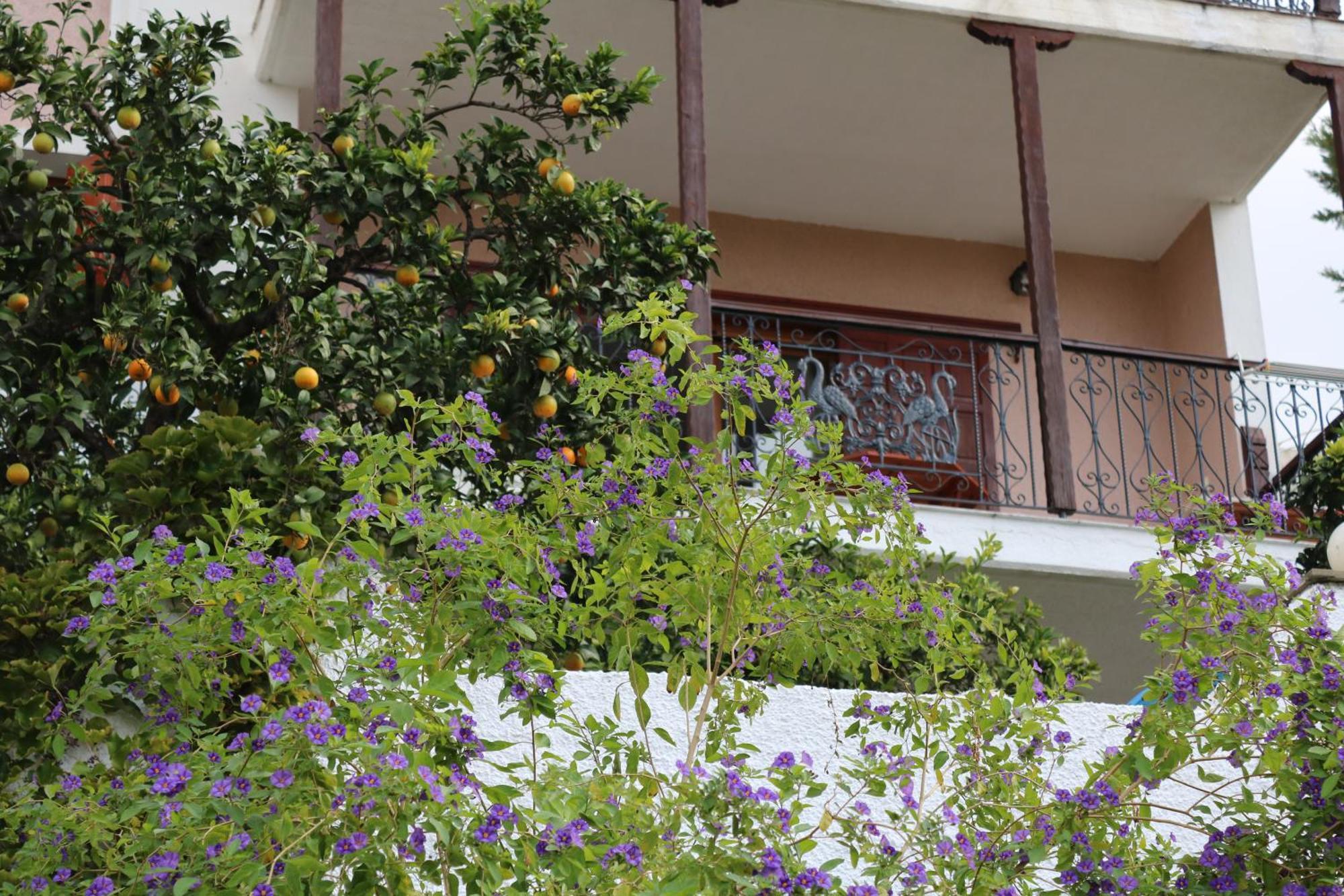 Villa Sofia Marathos  Exterior photo