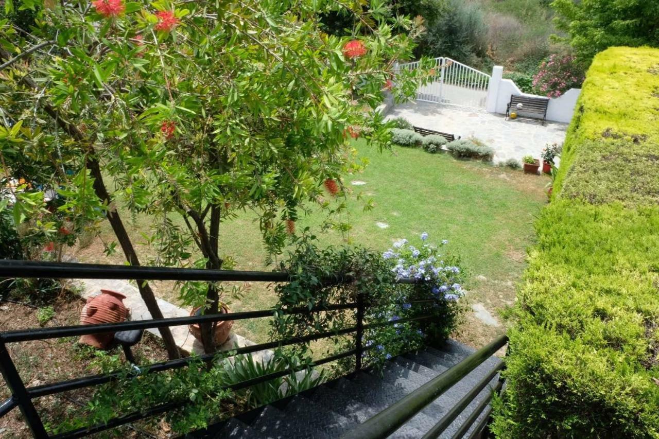 Villa Sofia Marathos  Exterior photo